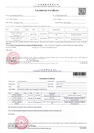 新冠疫苗接種證明翻譯
